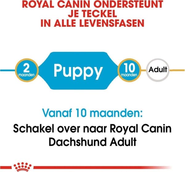 Ruoka Royal Canin SHN Rotu mäyräkoira Jun 1,5 kg
