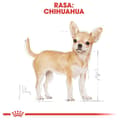 Miniatyrbillede 5 af 8: Royal Canin BHN Chihuahua Adult - tørfoder til hunde - 1,5 kg