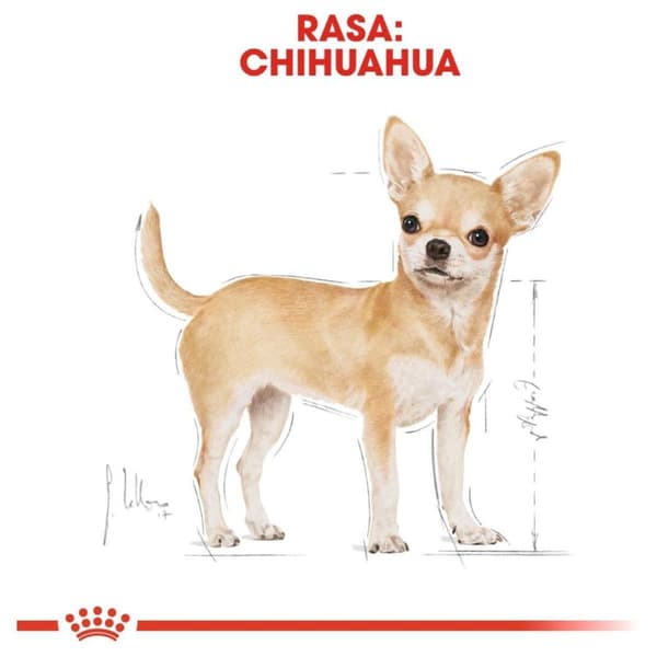 Royal Canin BHN Chihuahua Adult - tørfoder til hunde - 1,5 kg
