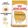 Miniatyrbillede 2 af 8: Royal Canin BHN Chihuahua Adult - tørfoder til hunde - 1,5 kg