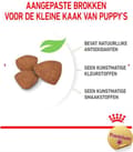 Pikkukuva 2 / 11: Royal Canin Mini Puppy Poultry,Riisi 2 kg