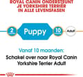 Miniatyrbillede 3 af 8: ROYAL CANIN Yorkshire Terrier Puppy - tørfoder til hunde - 1,5 kg