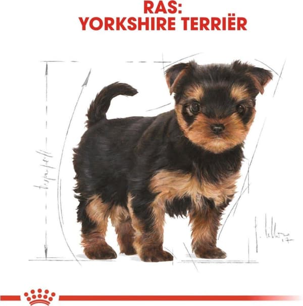 ROYAL CANIN Yorkshire Terrier Puppy - tørfoder til hunde - 1,5 kg
