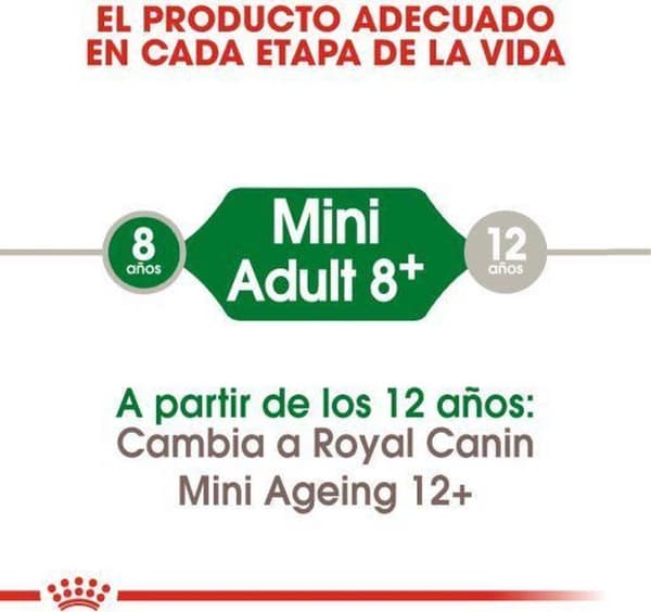 ROYAL CANIN Mini Voksen +8 - tørt hundefoder - 2 kg