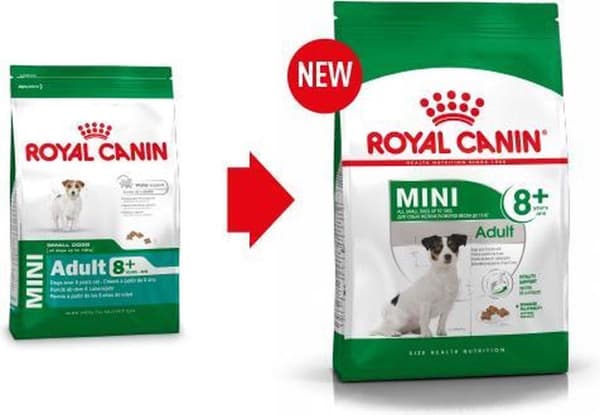 ROYAL CANIN Mini Voksen +8 - tørt hundefoder - 2 kg
