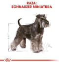 Pikkukuva 3 / 8: Royal Canin Kääpiösnautseri Aikuinen 3 kg