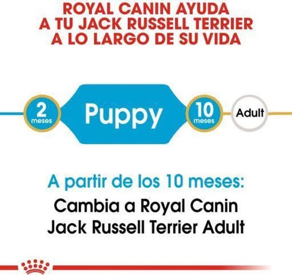 Royal Canin Jack Russell Junior Puppy Fjerkræ,Ris 3 kg