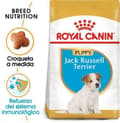 Miniatyrbillede 5 af 7: Royal Canin Jack Russell Junior Puppy Fjerkræ,Ris 3 kg