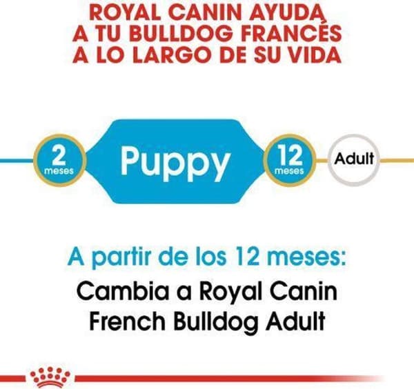 Royal Canin fransk bulldog junior hvalp 3 kg
