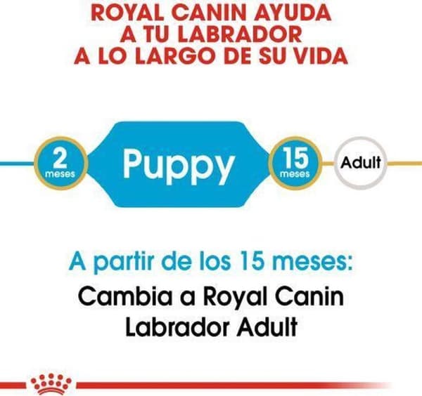 ROYAL CANIN BHN Labrador Retriever Valp - torrt valpfoder - 3 kg