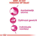 Miniatyrbillede 4 af 9: Royal Canin Feline Preference Aroma Exigent - tør kattefoder Voksen fisk - 2 kg