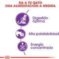 Miniatyrbild 4 av 9: Royal Canin Sensible 33 katter torrfoder 2 kg Vuxen