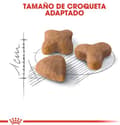 Miniatyrbild 5 av 9: Royal Canin Sensible 33 katter torrfoder 2 kg Vuxen