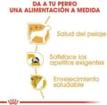 Miniatyrbild 3 av 8: ROYAL CANIN BHN Yorkshire Terrier Adult - torrfoder för hundar - 3 kg