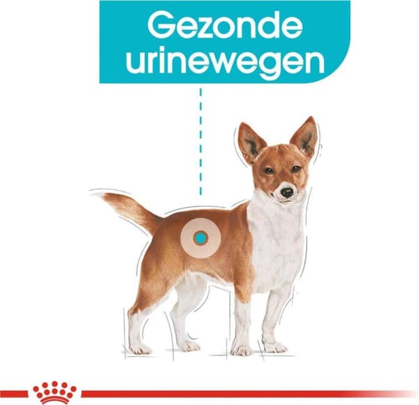 Royal Canin Mini Urinary Care CCN - Tørfoder til hunde - 3 kg