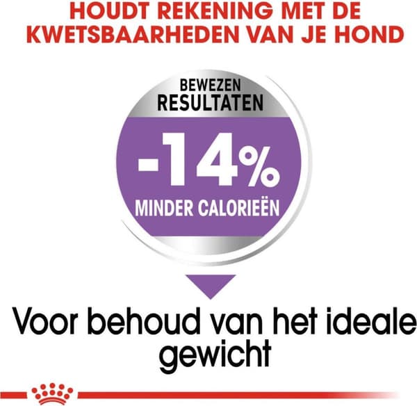 Royal Canin CCN MINI STERILIZED - tørfoder til voksne hunde - 3 kg