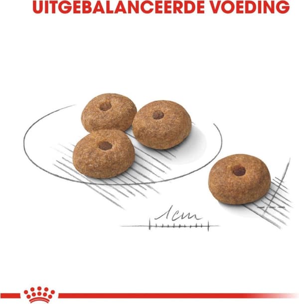 Royal Canin CCN MINI STERILIZED - tørfoder til voksne hunde - 3 kg
