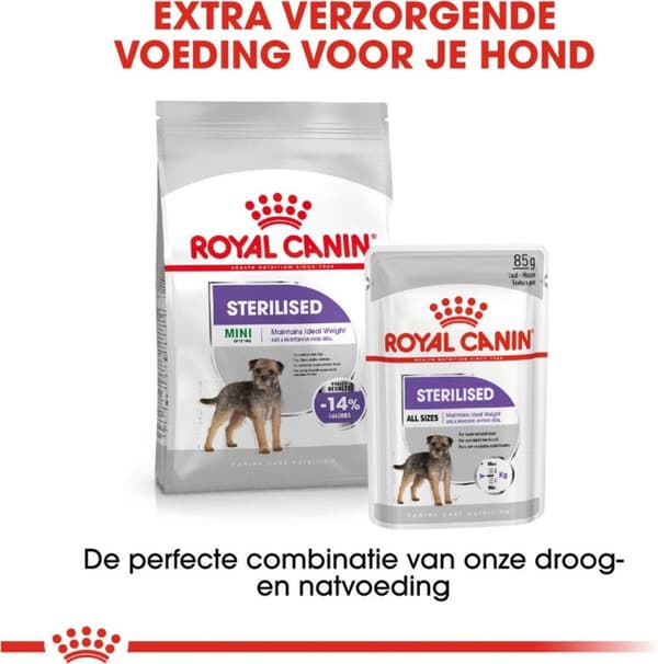 Royal Canin CCN MINI STERILIZED - tørfoder til voksne hunde - 3 kg