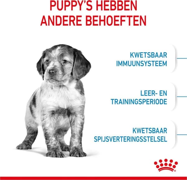 Royal Canin Medium Puppy 4 kg Majs, Fjerkræ