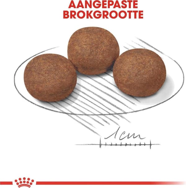 Royal Canin Medium Puppy 4 kg Majs, Fjerkræ