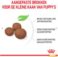 Pikkukuva 2 / 9: Royal Canin Medium Puppy 4 kg Maissi, Siipikarja