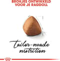 Miniatyrbild 3 av 10: Royal Canin FBN Ragdoll Adult torrfoder för katter 2 kg