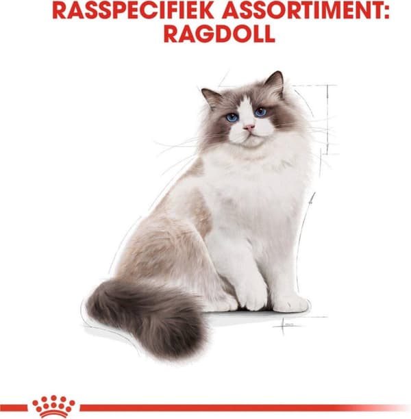 Royal Canin FBN Ragdoll Adult torrfoder för katter 2 kg