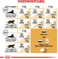 Miniatyrbild 4 av 9: Royal Canin Siamese katter torrfoder 2 kg vuxen fjäderfä