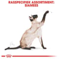 Miniatyrbild 7 av 9: Royal Canin Siamese katter torrfoder 2 kg vuxen fjäderfä