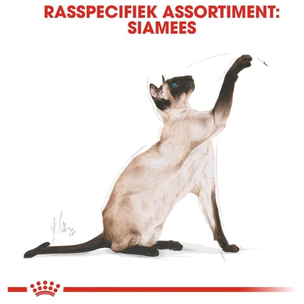 Royal Canin Siamese katter torrfoder 2 kg vuxen fjäderfä