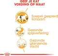 Miniatyrbild 8 av 9: Royal Canin Siamese katter torrfoder 2 kg vuxen fjäderfä