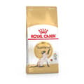 Miniatyrbild 1 av 9: Royal Canin Siamese katter torrfoder 2 kg vuxen fjäderfä