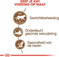 Miniatyrbillede 5 af 9: Royal Canin Senior Aging Steriliseret 12+ katte tørfoder Majs, Fjerkræ, Grøntsager 2 kg