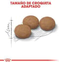 Miniatyrbillede 8 af 9: Royal Canin Senior Aging Steriliseret 12+ katte tørfoder Majs, Fjerkræ, Grøntsager 2 kg