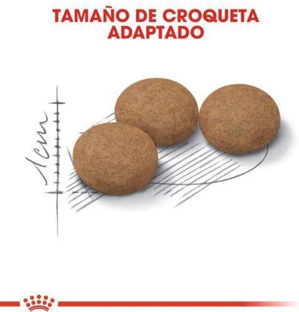 Royal Canin Senior Aging Steriliseret 12+ katte tørfoder Majs, Fjerkræ, Grøntsager 2 kg