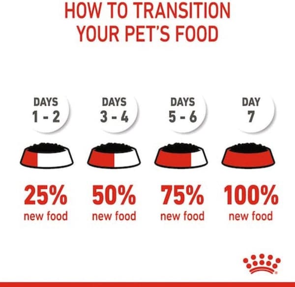 ROYAL CANIN SHN Mini Starter Mother & Babydog - tør hundefoder - 4 kg