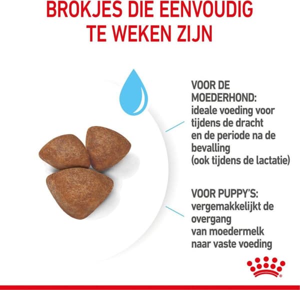 ROYAL CANIN SHN Mini Starter Mother & Babydog - tør hundefoder - 4 kg