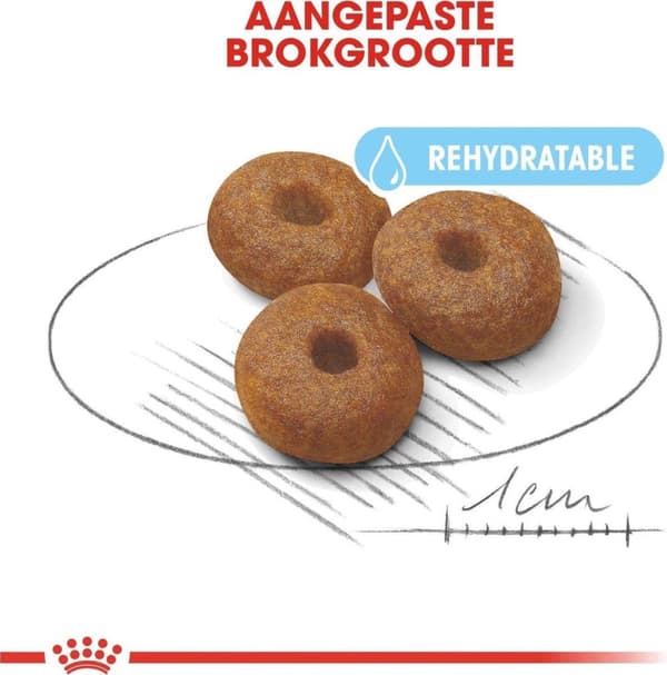 ROYAL CANIN SHN Maxi Starter Mother & Babydog - tør hundefoder - 4 kg