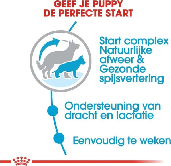 ROYAL CANIN SHN Maxi Starter Mother & Babydog - tør hundefoder - 4 kg