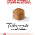 Miniatyrbild 3 av 8: Royal Canin Maine Coon Kattunge katter torrfoder 2 kg