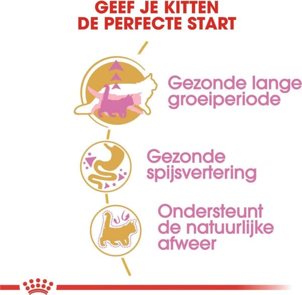 Royal Canin Maine Coon Kattunge katter torrfoder 2 kg