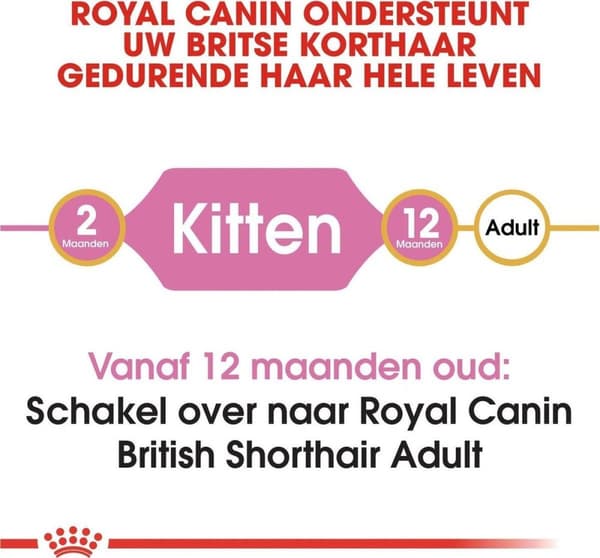 Royal Canin British Shorthair Kitten katte tørfoder 2 kg Fjerkræ, Ris, Grøntsager