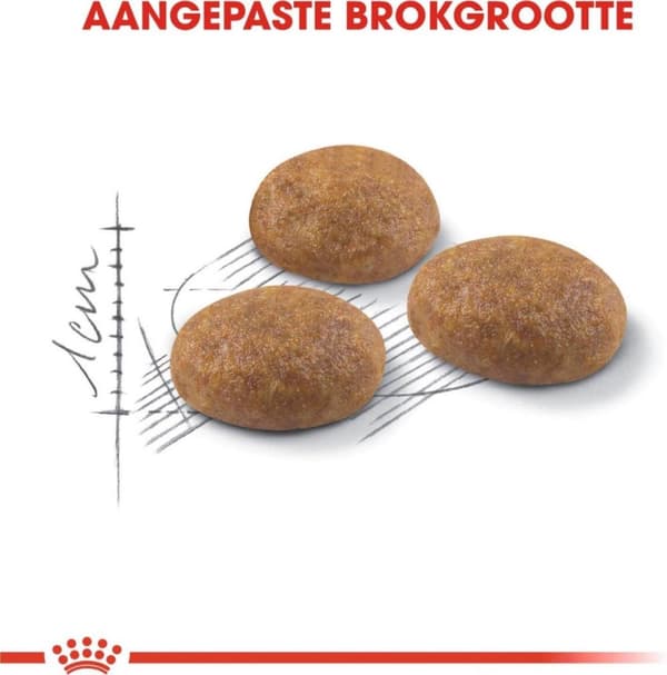Royal Canin Active Life Utekatter torrfoder 4 kg Vuxen fjäderfä