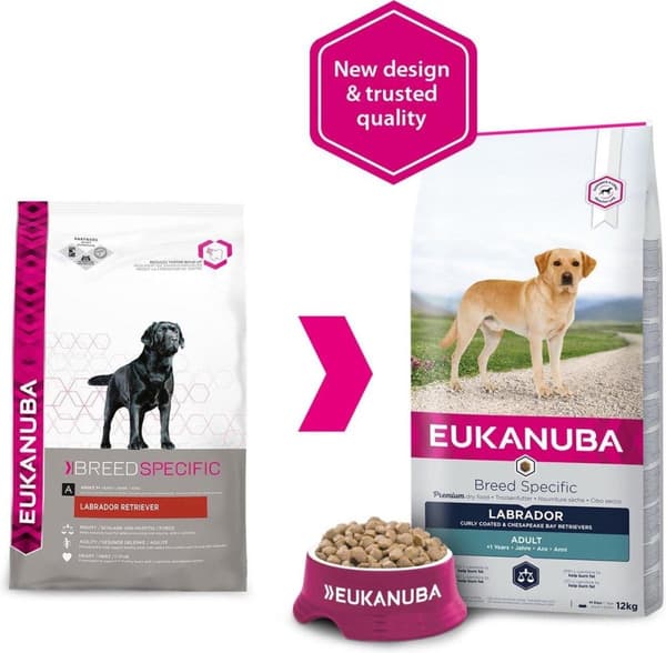 Koiran kuivaruoka Rodut Ravinto Labradorinnoutaja Aikuinen 12 kg