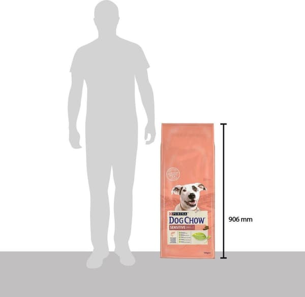 Purina Hundfoder Sensitive Adult 14 kg Lax