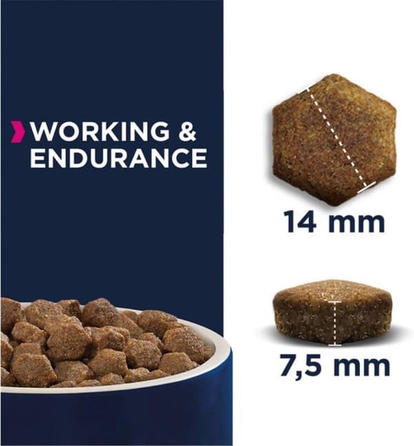 Eukanuba PREMIUM PERFORMANCE 15 kg Adult Chicken, Turkki