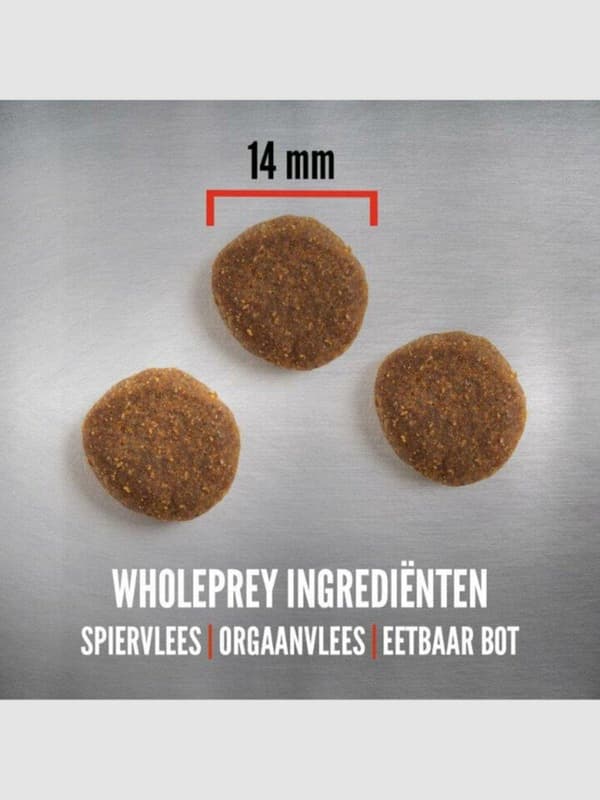 Orijen Original 6 kg vuxen kyckling, fisk, kalkon