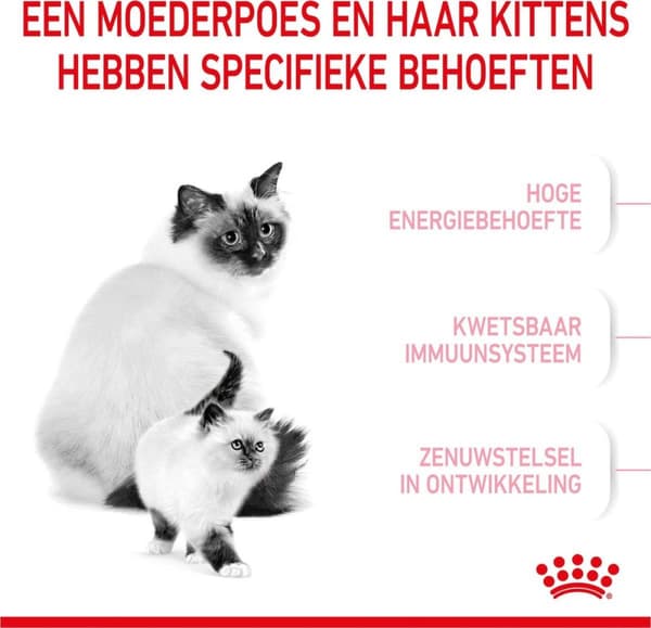 Royal Canin Mother & Babycat katter torrfoder 4 kg vuxen fjäderfä