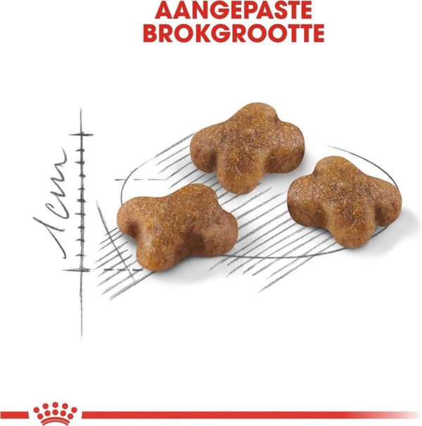 Royal Canin Kitten katte tørfoder 4 kg fjerkræ