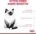 Miniatyrbillede 4 af 9: Royal Canin Kitten katte tørfoder 4 kg fjerkræ